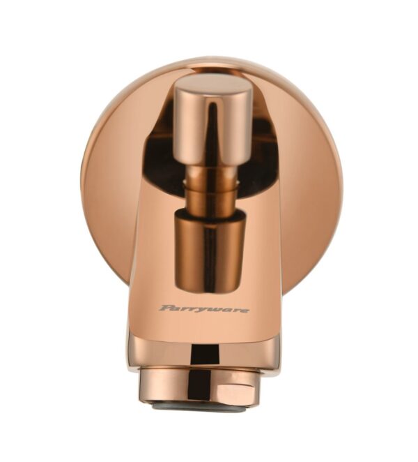 PRASEO Wall Spout with diverter - Image 3