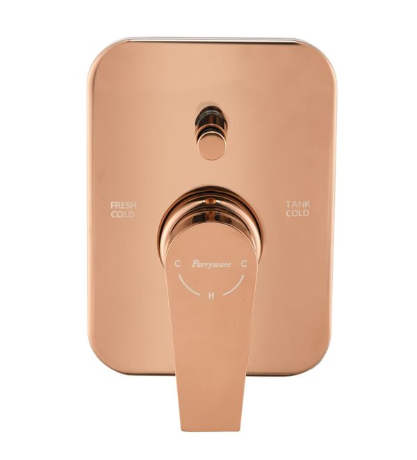 PRASEO 3 - Inlet Diverter Upper Trim - Image 2