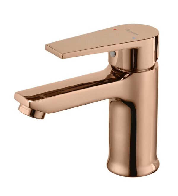 PRASEO Single Lever Basin Mixer