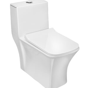 ASTER Single Piece (S-230) - Parryware