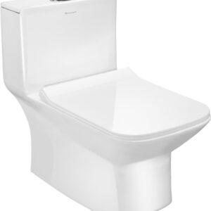 PERI-S 300 Single piece Parryware