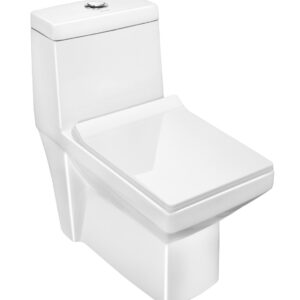 SUTRA Single Piece (S-220)- Parryware