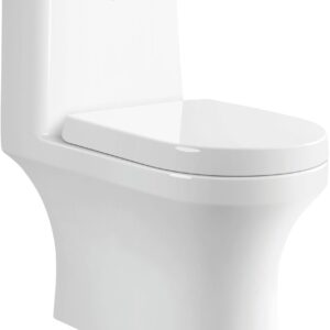 VIVA-S-305-Single piece Parryware