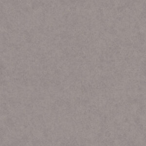 Mist Grey- Wall and Floor Tile 600x600mm - NT3048