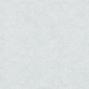 Arctic White- Wall and Floor Tile 600x600mm - NT3049