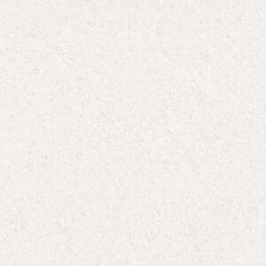 Pearl White- Wall and Floor Tile 600x600mm - NT3040